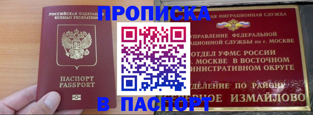 прописка в Бердске